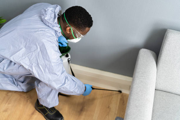 Reliable Southlake, TX Pest Control Solutions